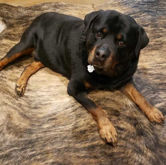 Hey y'all ππ - Picture 10 of 12